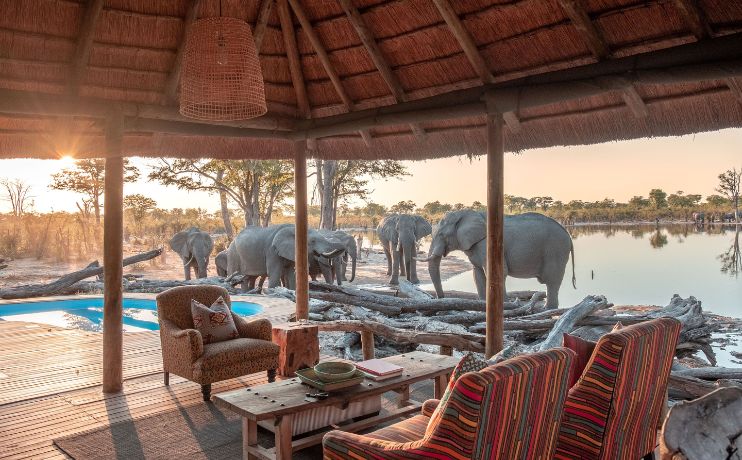 Elephants around luxury camp on gay safari gay travel in Botswana Africa with Pivot Trip