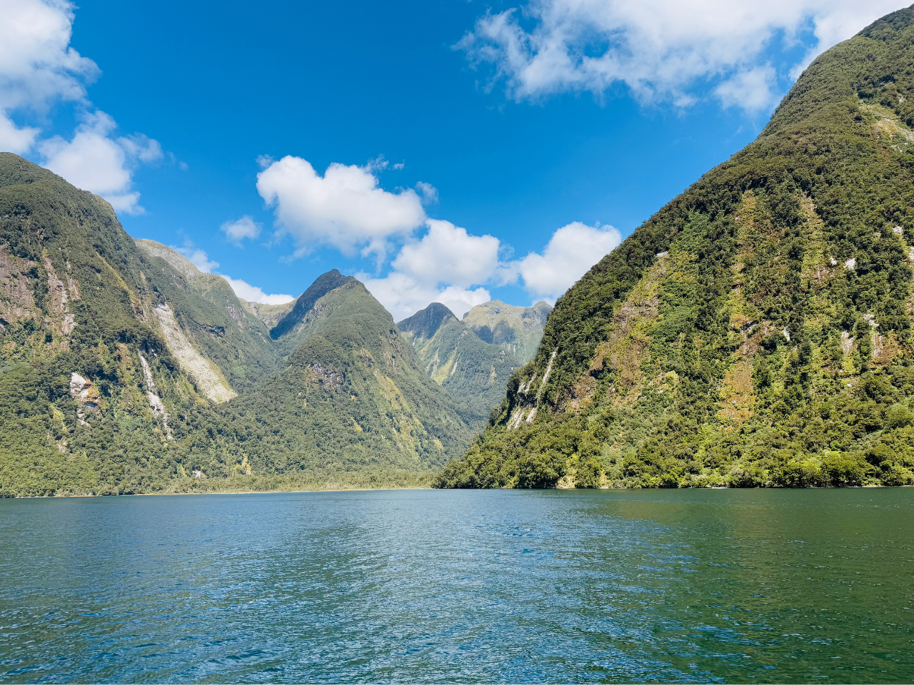 Pivot Trip small-group New Zealand tour for gay men — Doubtful Sound