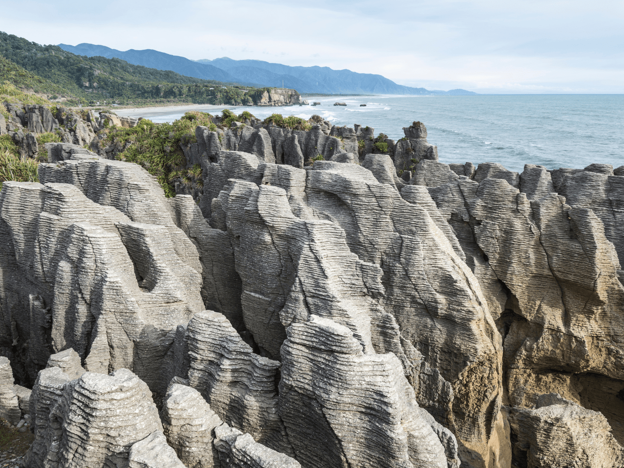 Pivot Trip small-group New Zealand tour for gay men — Pancake Rocks and blowholes