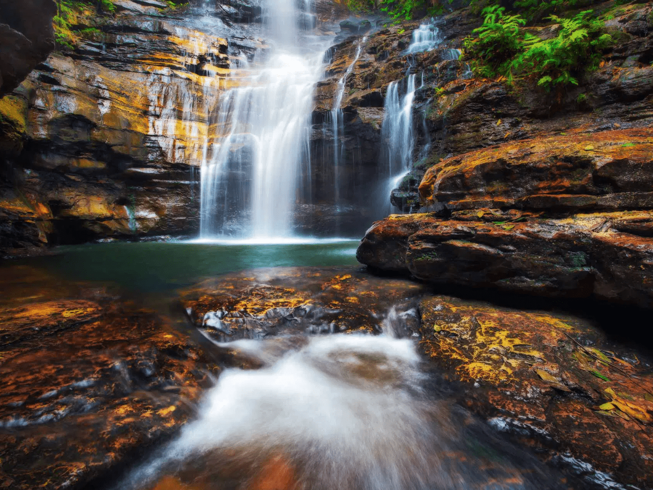 Pivot Trip small-group Australia tour for gay men gay travel — Blue Mountains Sydney Day trip waterfall