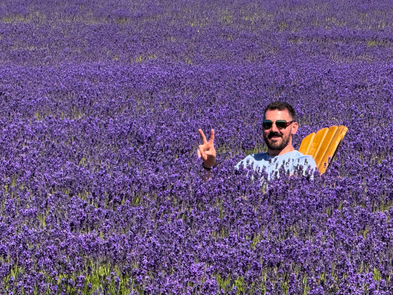 Pivot Trip small-group New Zealand tour for gay men gay travel — Trip Leader Cory in field of Lavender