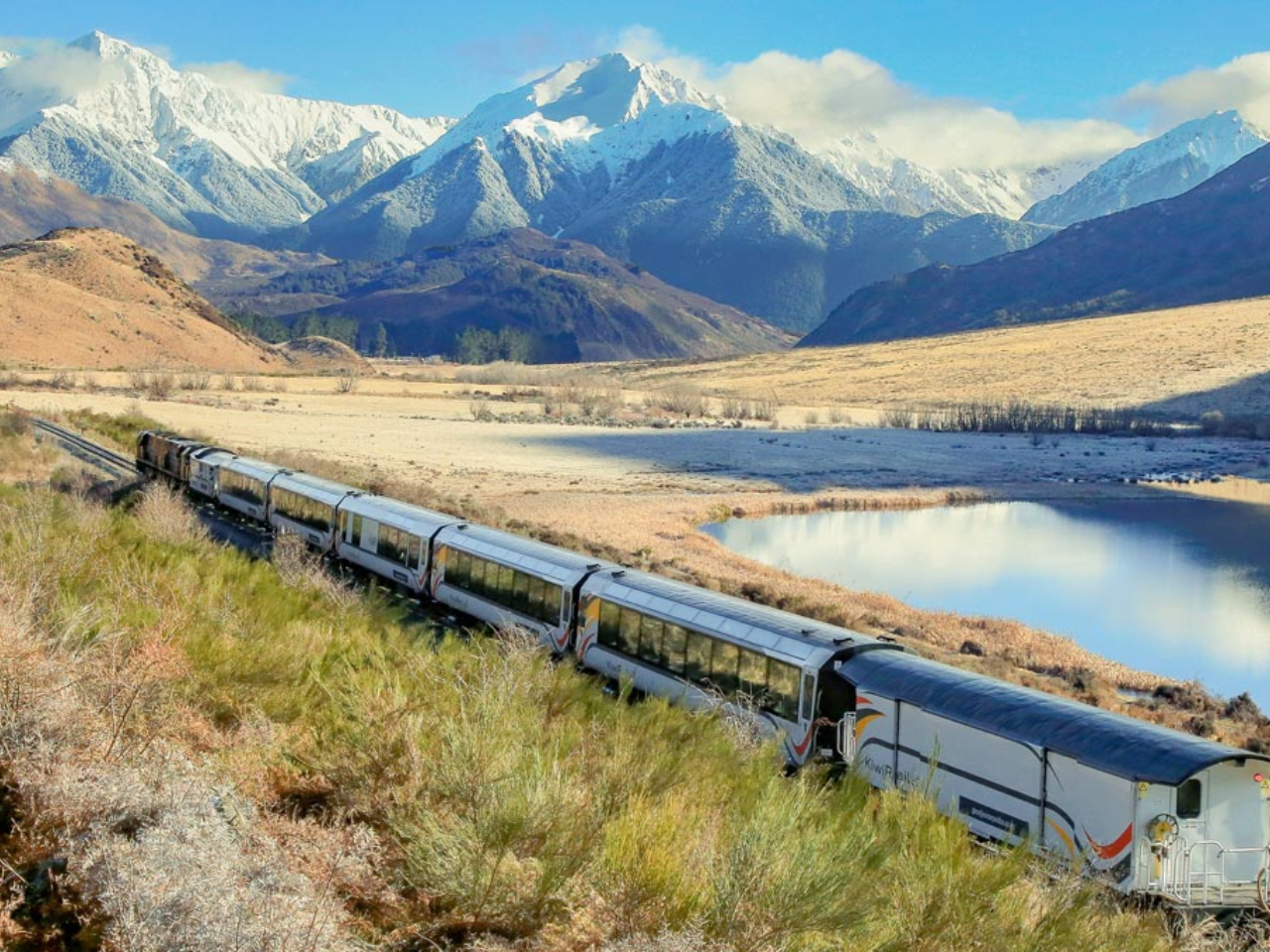 Pivot Trip small-group New Zealand tour for gay men — TranzAlpine Railway