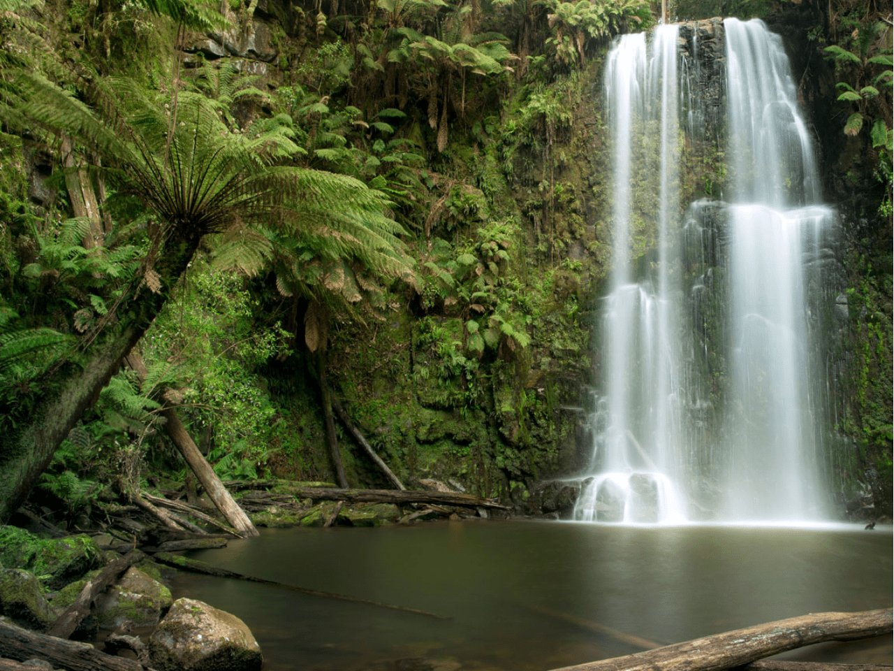 Pivot Trip small-group Australia tour for gay men gay travel — Great Otway National Park
