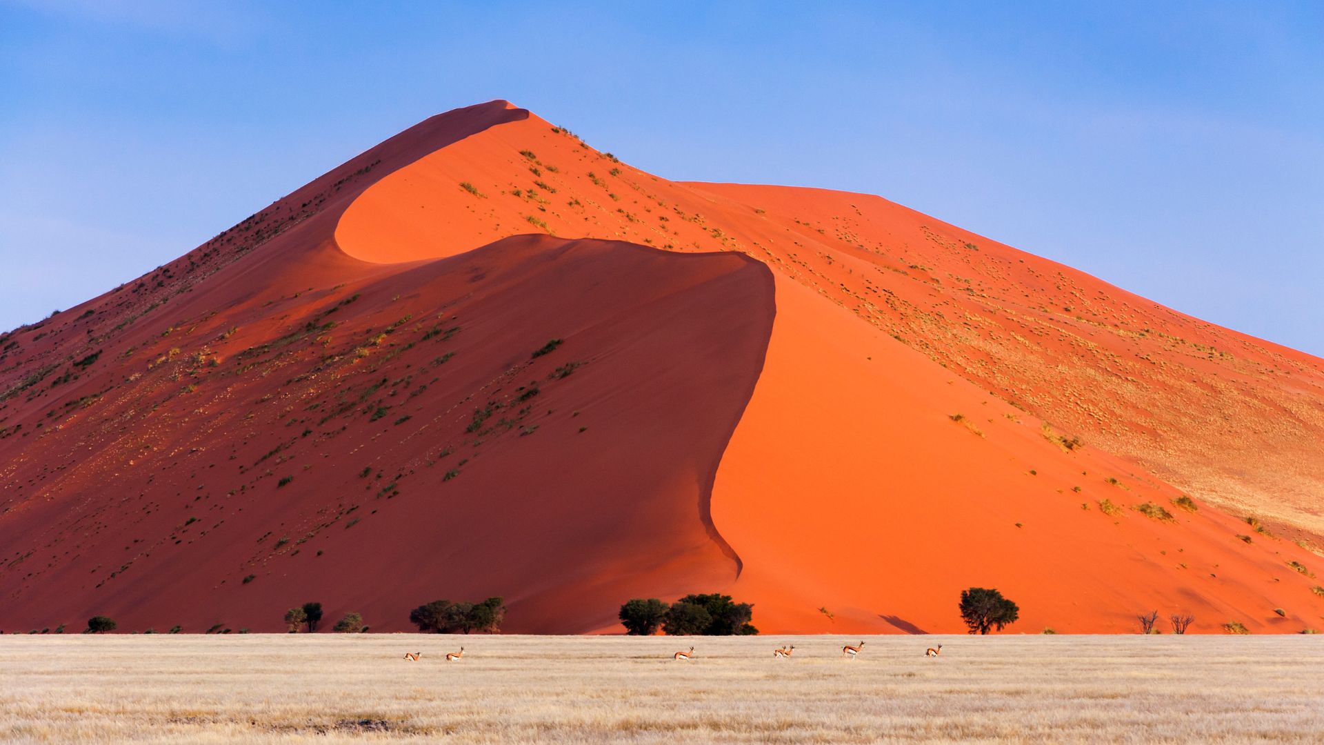 Sand dune Namibia, Africa - gay travel - gay trip - Pivot Trip