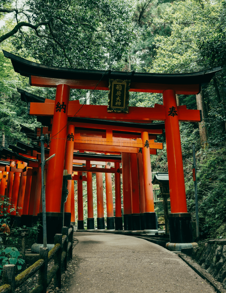 Fushimi Inari torii gates | Pivot Trip gay travel tour Japan | spiritual cultural sites