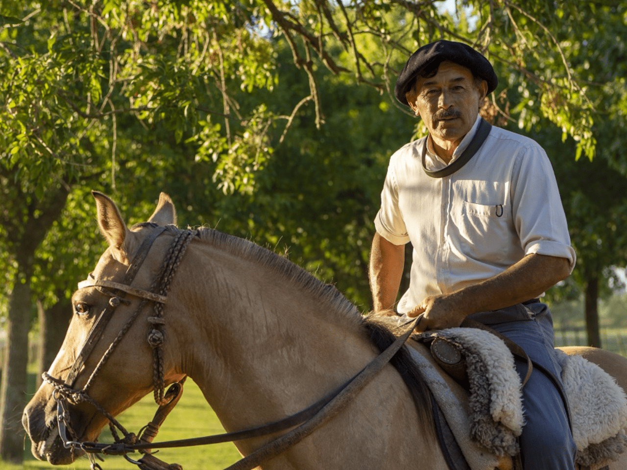 Man on horse in South America