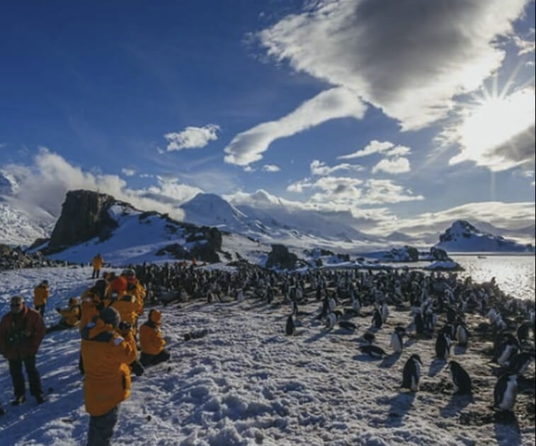 Men and penguins in Antarctica