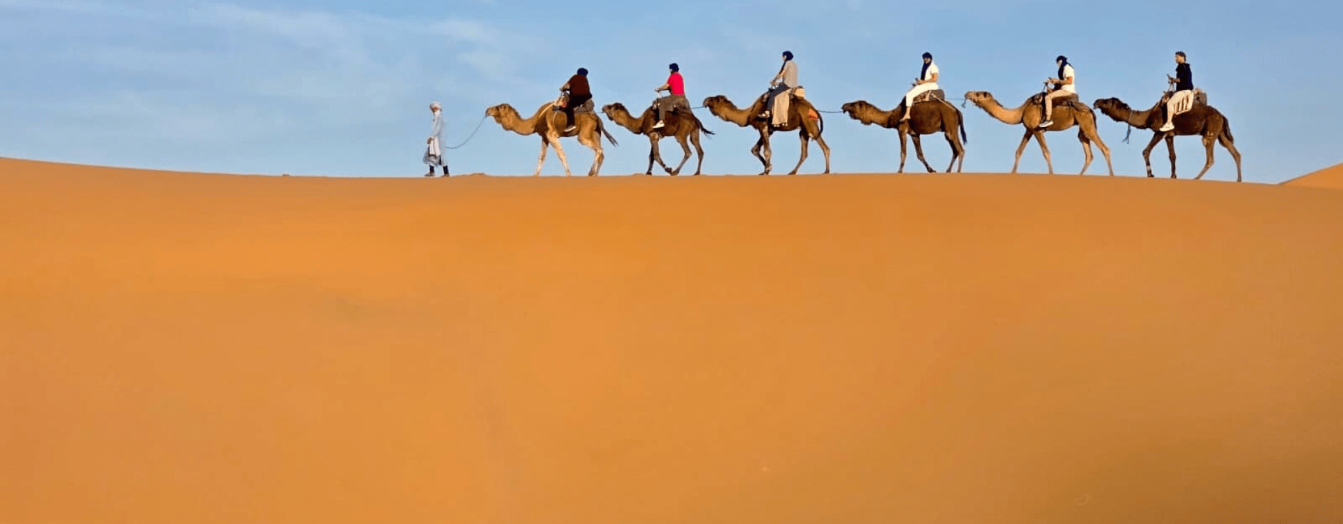 Pivot Trip Morocco Sahara Desert - camel - gay travel for gay men adventure