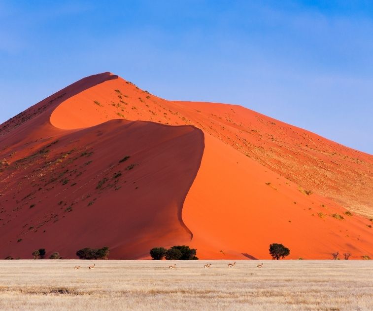 Oldest dunes on Earth in Namibia, Africa, on gay tour small-group trip for gay men with Pivot Trip